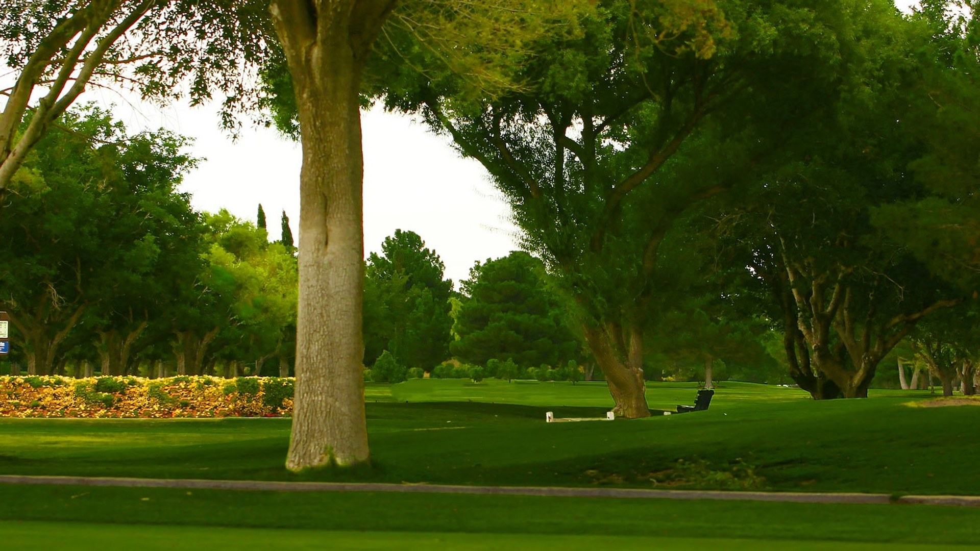 Tree-lined fairway and landscaped grounds at Lone Star Golf Club in El Paso.