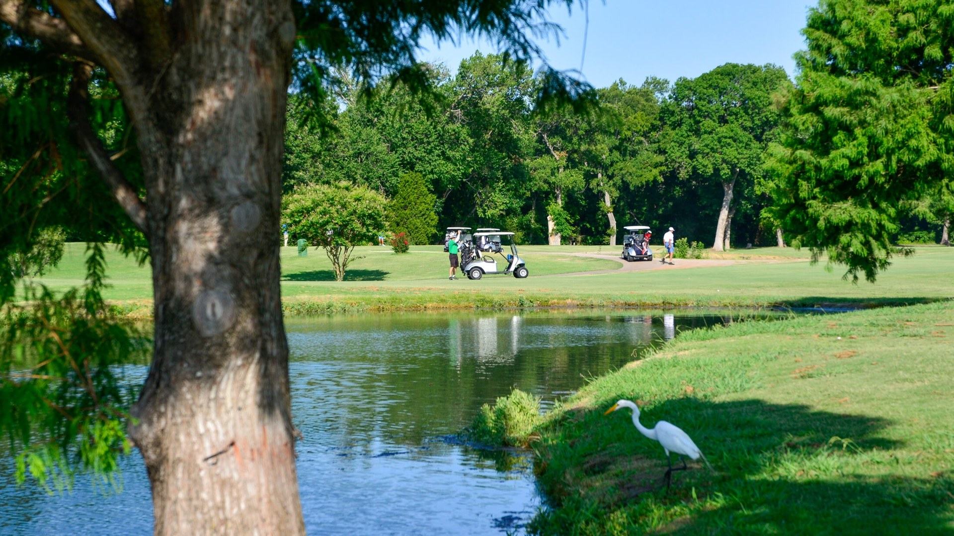 Pond, mature trees, and golf carts at Sherrill Park Course No. 1 in Richardson.